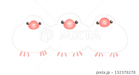 白文鳥 白文鳥 132378278