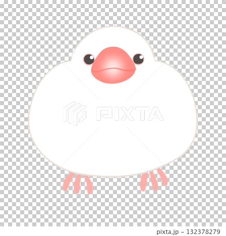 白文鳥 132378279