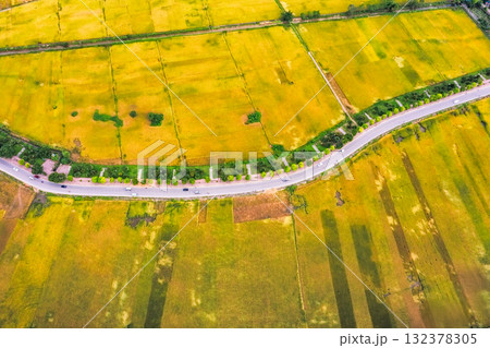 Golden Rice Fields at Sunset Harvest Season 132378305