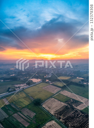 Golden Rice Fields at Sunset Harvest Season Golden Rice Fields at Sunset Harvest Season 132378308
