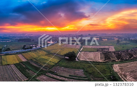 Golden Rice Fields at Sunset Harvest Season 132378310