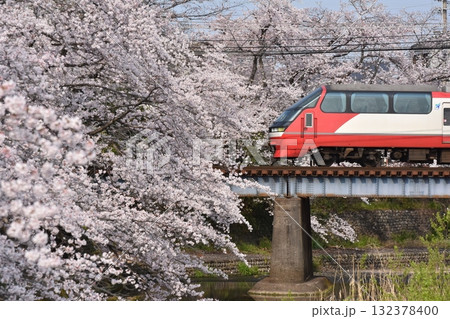 犬山線桜満開の郷瀬川 1200系パノラマスーパー 犬山線桜満開の郷瀬川 1200系パノラマスーパー 132378400