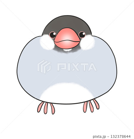 ノーマル文鳥 132378644