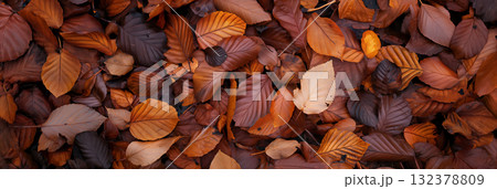 Autumn leaves covering the ground. Autumn leaves covering the ground. 132378809