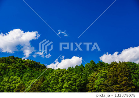 木曽の青空と新緑の山 木曽の青空と新緑の山 132379079