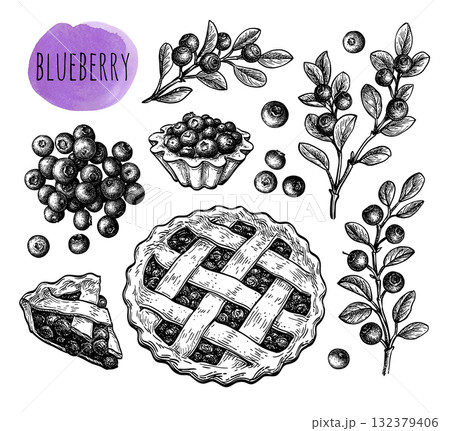 Blueberry set of ink sketches. 132379406