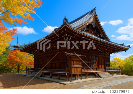 仁和寺　観音党と五重塔　紅葉 132379975