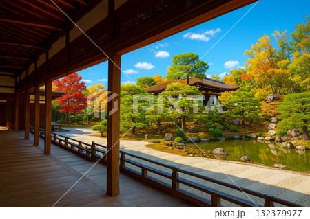 仁和寺　宸殿と北庭紅葉葉 132379977