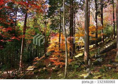 紅葉　風景 132380068