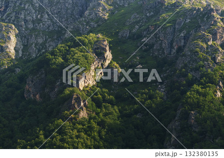 Relief rocks in the mountains overgrown with forest 132380135
