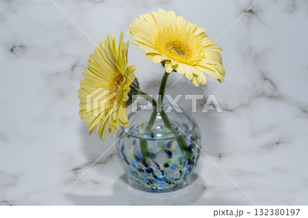 寒色でガラスの一輪挿しに挿した二輪の黄色いガーベラの花（中央配置） 132380197