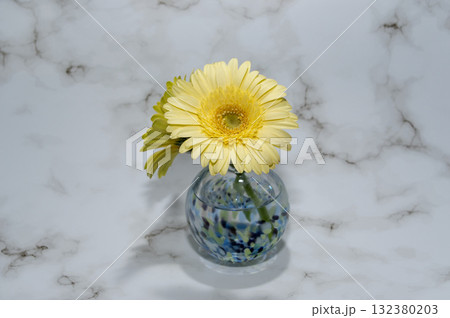 寒色でガラスの一輪挿しに挿した背面にもう一輪見える黄色いガーベラの花(中配置) 寒色でガラスの一輪挿しに挿した背面にもう一輪見える黄色いガーベラの花(中配置) 132380203