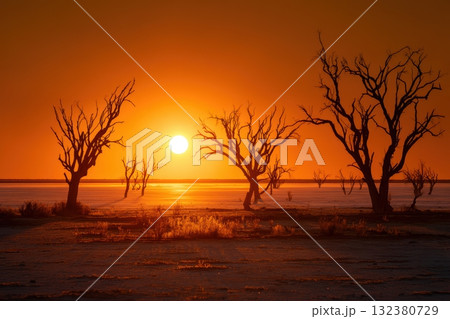 Sunset over a silent desert landscape with trees 132380729