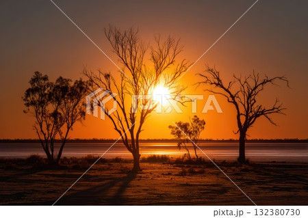Beautiful sunset over a tranquil landscape with trees 132380730