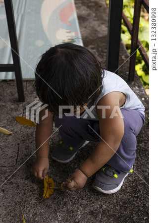 Toddler Collecting Dry Leaves On Ground, Toddler gathers dry leaves with delight on a sunlit yard, perfect for promoting eco-friendly outdoor play activities. 132380998