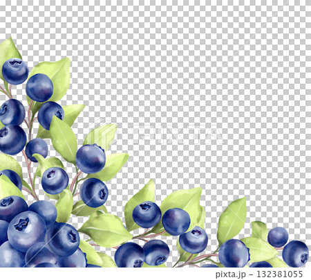 Blueberry Corner Element. Berries and Leaves Decor. Hand-drawn illustration 132381055