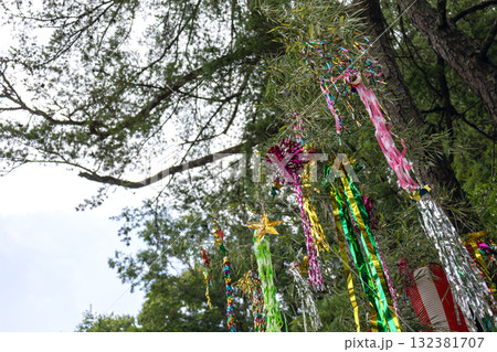 奈良県／天河大弁財天 木に飾った七夕祭の装飾（2025年8月28日撮影） 132381707