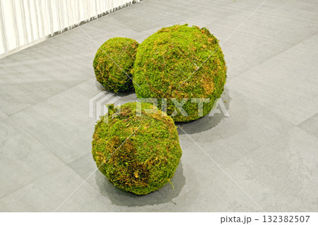 Green moss balls floor 132382507