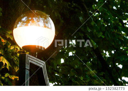 秋が深まる夕暮れの宮沢賢治も学んだ岩手大学農学部の照明 132382773