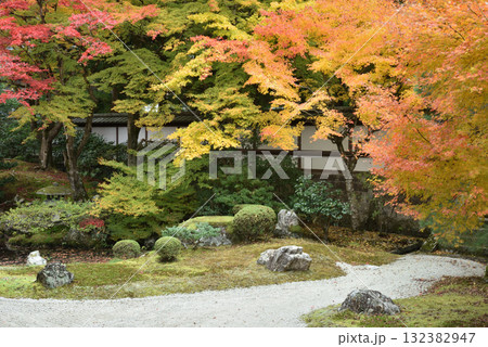 泉涌寺　秋の御座所庭園(京都市東山区) 132382947