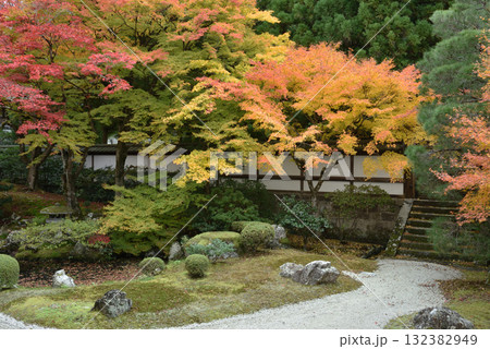 泉涌寺 秋の御座所庭園(京都市東山区) 泉涌寺 秋の御座所庭園(京都市東山区) 132382949
