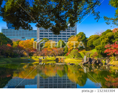 秋の日本庭園の池に映り込む色鮮やかな紅葉とオフィスビル (東京都、文京区、小石川後楽園) 132383304