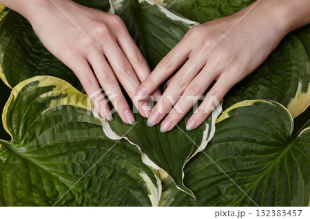 Female hands gently resting on large green tropical leaves, natural light highlighting skin softness and texture. Skincare, healthy nails. Concept of spa, relaxation, and organic beauty care Female hands gently resting on large green tropical leaves, natural light highlighting skin softness and texture. Skincare, healthy nails. Concept of spa, relaxation, and organic beauty care 132383457