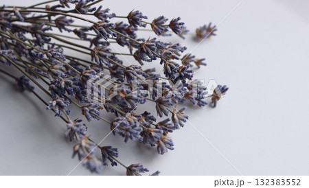 Bouquet of dry lavender stems with soft flowers isolated on white table flat lay photo Bouquet of dry lavender stems with soft flowers isolated on white table flat lay photo 132383552