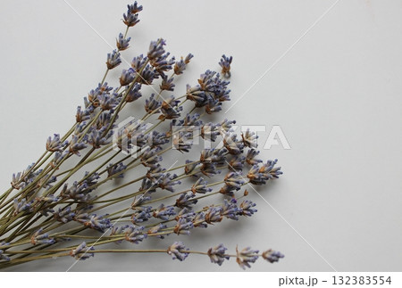 Bunch of dried lavender stems with blue flowers on white surface stock photo 132383554
