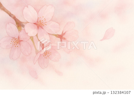 桜シリーズ:風に揺れる桜の花 桜シリーズ:風に揺れる桜の花 132384107