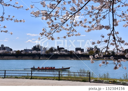 日本の愛知県犬山市　春の犬山城近辺　満開の桜と美しい青空　木曽川を進む遊覧船と花見を楽しむ乗船客 132384156