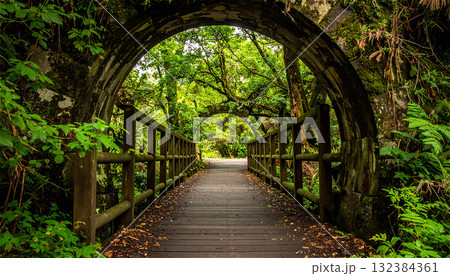苔むした石のアーチと木製の橋が続く、緑深いジャングルのような小道。 苔むした石のアーチと木製の橋が続く、緑深いジャングルのような小道。 132384361
