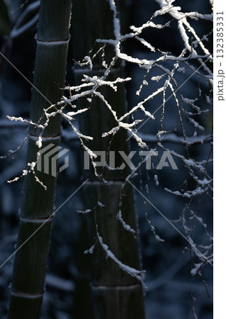 雪の竹林に刺す光_縦 132385331