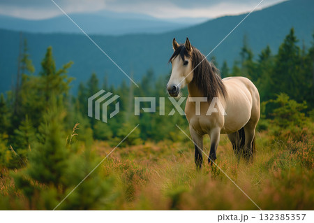 Stunning Nature View: Horse Grazing in a High-Altitude Pasture Against a Dramatic Blue Sky Stunning Nature View: Horse Grazing in a High-Altitude Pasture Against a Dramatic Blue Sky 132385357
