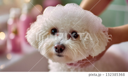 Bubbly Dog Wash. Adorable white dog getting a bath with soap bubbles 132385368