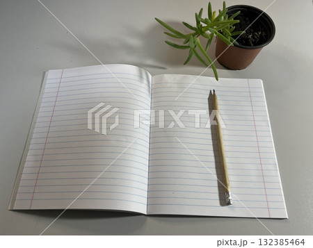 The pencil lies on an open notebook. 132385464
