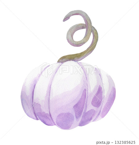 Lavender or lilac pumpkin. A delicate watercolor pumpkin with an unusual coloring. This isolated image is perfect for decoration and design. It can be used for theme party invitations, cards, menus, o 132385625