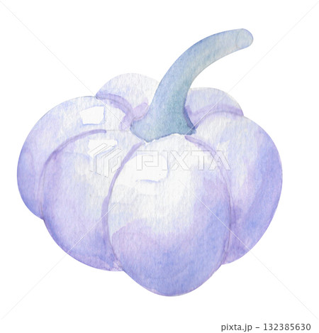Lilac or Lavender lilac pumpkin. A delicate watercolor pumpkin with an unusual coloring. This isolated image is perfect for decoration and design. It can be used for theme party invitations, cards, me 132385630
