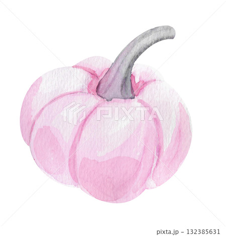 Rose pumpkin. A delicate watercolor pumpkin with an unusual coloring. This isolated image is perfect for decoration and design. It can be used for theme party invitations, cards, menus, or seasonal pr 132385631