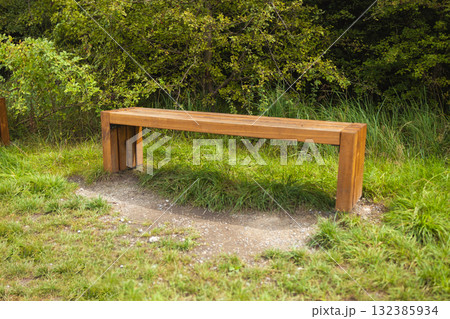 Wooden bench in green park surrounded by grass and trees Wooden bench in green park surrounded by grass and trees 132385934