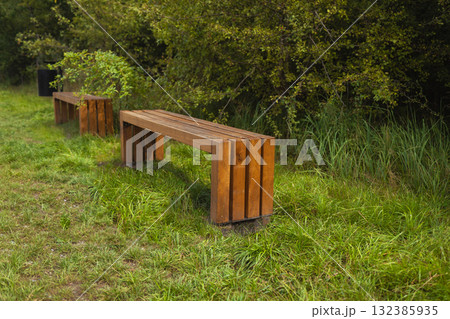Two wooden benches in green park surrounded by grass and trees 132385935