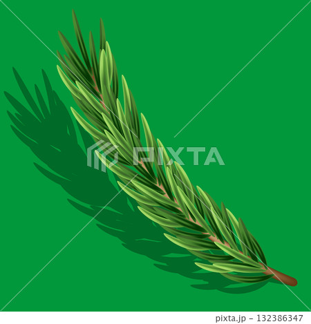 Realistic green pine branch illustration 132386347