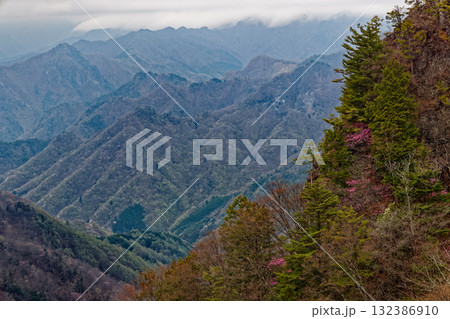 霧に煙る奥秩父・両神山八丁尾根 132386910