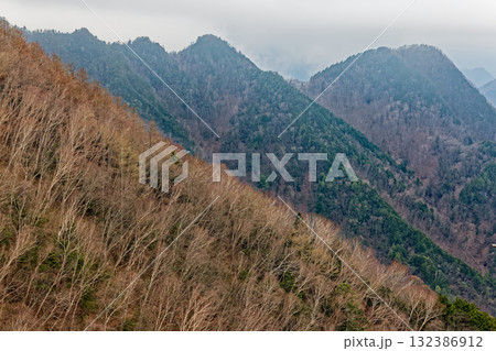 霧に煙る早春の奥秩父・両神山八丁尾根 132386912