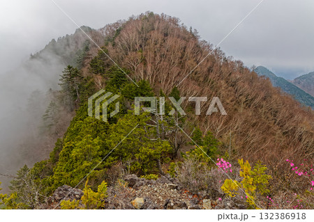霧に煙る両神山八丁尾根・東岳の風景 132386918