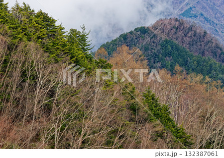 早春の奥秩父・両神山山頂から見る雲湧く稜線 132387061