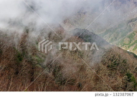 早春の奥秩父・両神山山頂から見る霧に煙る稜線 早春の奥秩父・両神山山頂から見る霧に煙る稜線 132387067