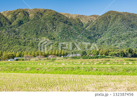 刈入れの終わった田んぼから眺める野坂山地　滋賀県高島市マキノ町 132387456