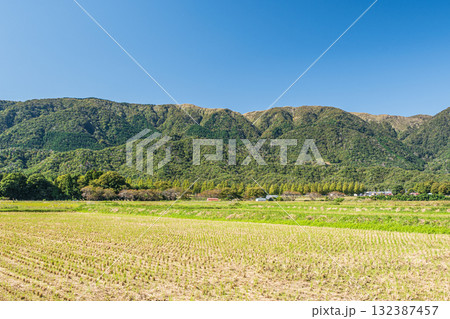刈入れの終わった田んぼから眺める野坂山地 滋賀県高島市マキノ町 刈入れの終わった田んぼから眺める野坂山地 滋賀県高島市マキノ町 132387457