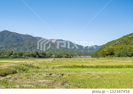刈入れの終わったのどかな田園風景　滋賀県高島市マキノ町 132387458